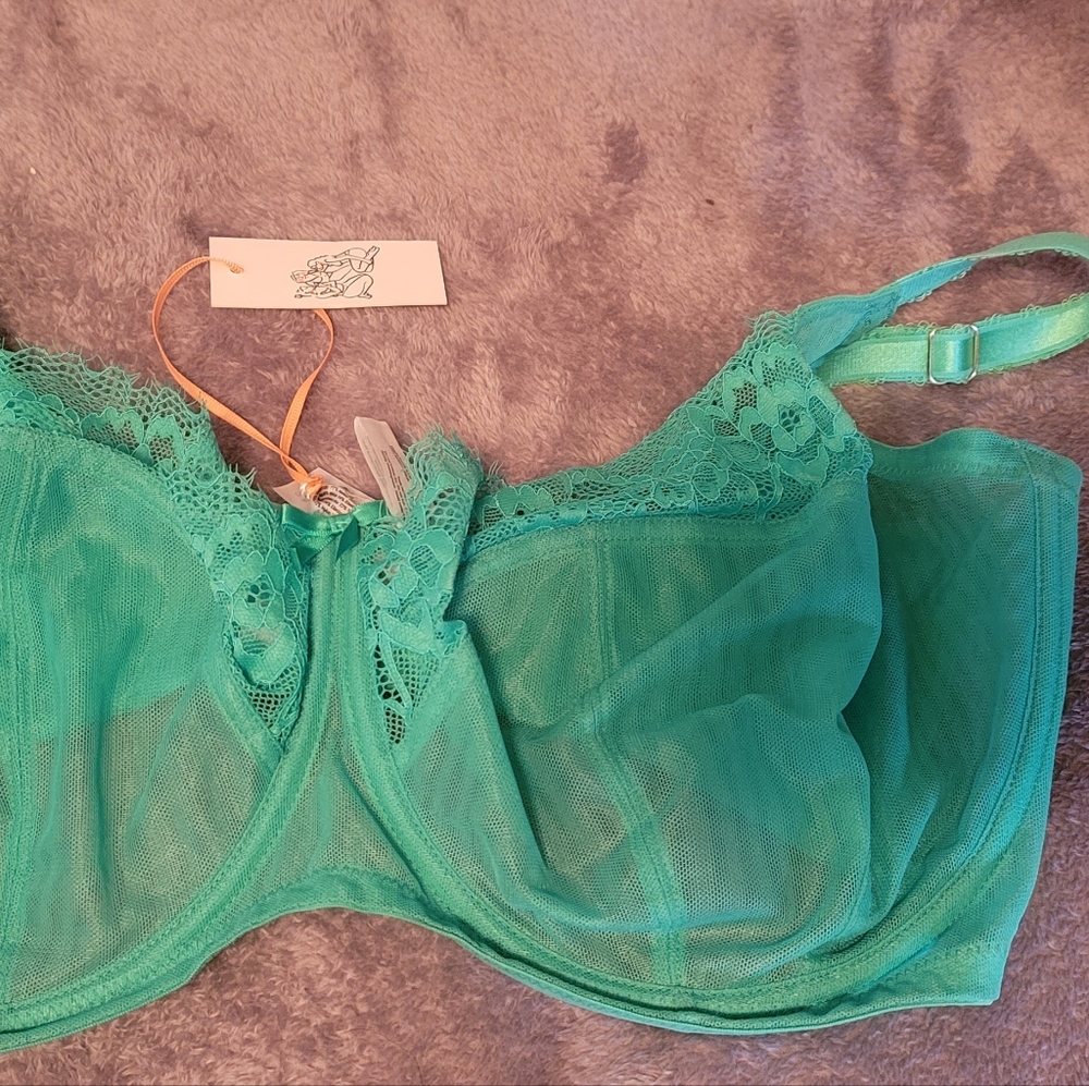 Playful Promises bra